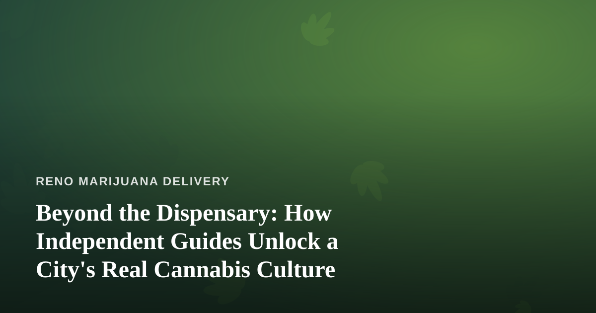 Beyond the Dispensary: How Independent Guides Unlock a City’s Real Cannabis Culture